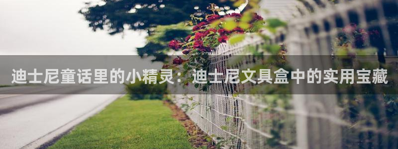 天顺2娱乐平台登录测速：迪士尼童话里的小