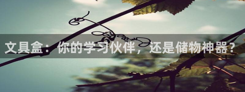 天顺娱乐高33300：文具盒：你的学习伙