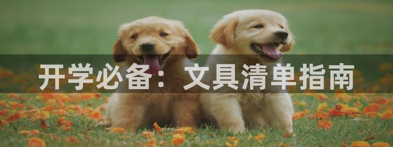 天顺餐饮娱乐：开学必备：文具清单指南