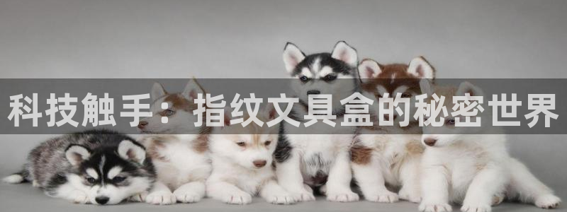 天顺娱乐鸟55312：科技触手：指纹文具