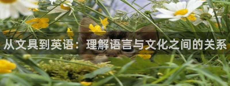 天顺娱乐椎78778卧：从文具到英语：理