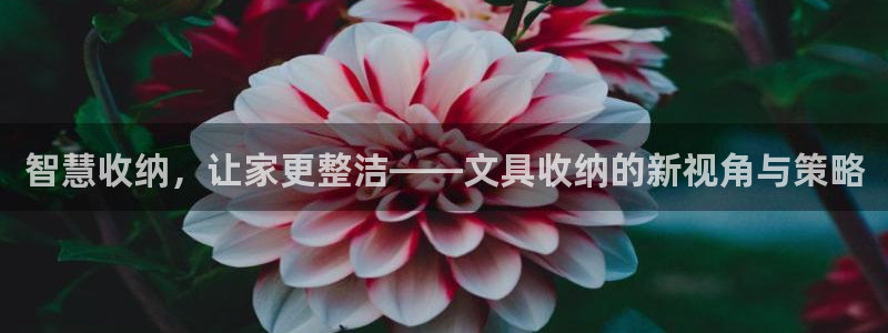 天顺娱乐阜943994：智慧收纳，让家更