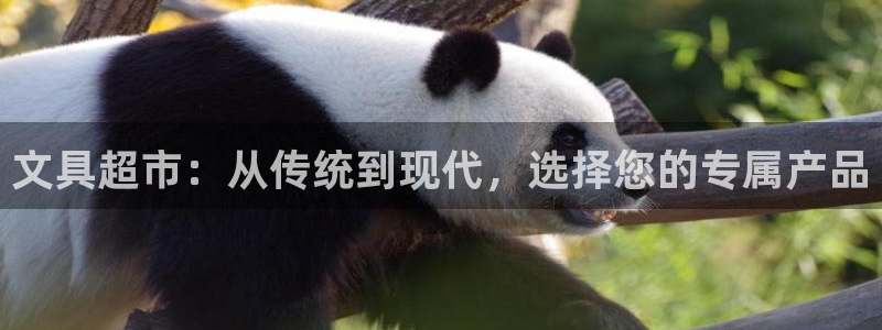 天顺娱乐揭78778：文具超市：从传统到