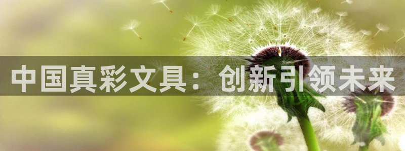 天顺娱乐负责人羊露pg22650