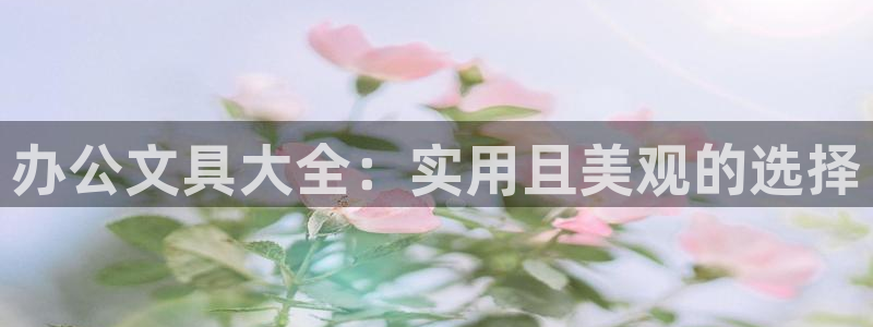 天顺2娱乐平台怎么样：办公文具大全：实用