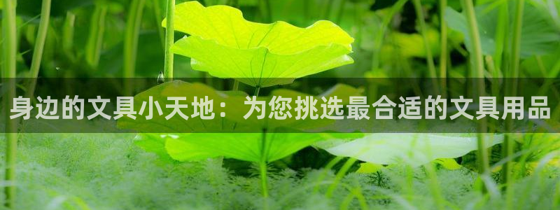 天顺娱乐郑7O667
