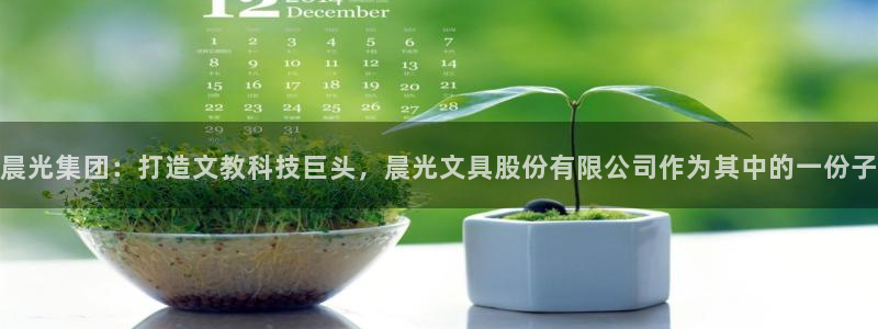 天顺娱乐寐 66 6：晨光集团：打造文教