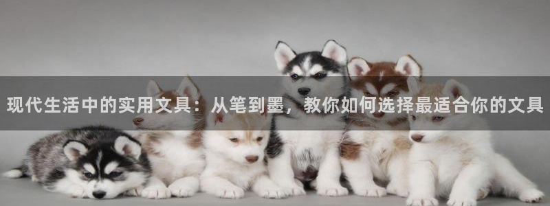 天顺娱乐最高待遇：现代生活中的实用文具：
