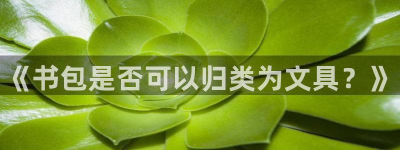 天顺餐饮娱乐：《书包是否可以归类为文具？