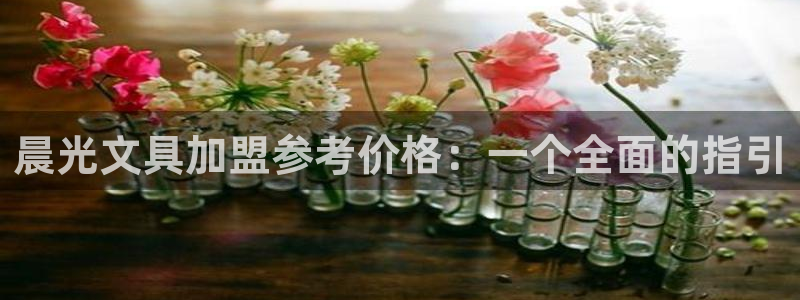 天顺娱乐岗943994：晨光文具加盟参考