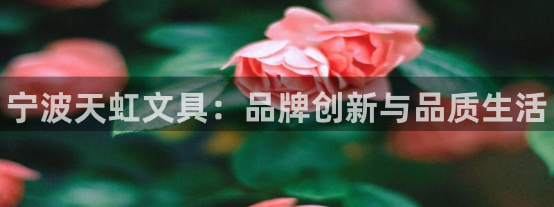 天顺娱乐主管QQ：宁波天虹文具：品牌创新