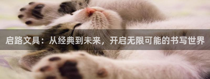 天顺娱乐下wx15 vip：启路文具：从