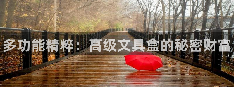 天顺娱乐干v96303：多功能精粹：高级