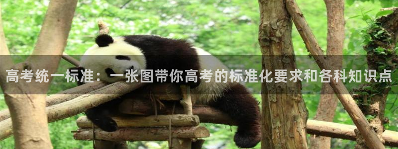 天顺娱乐木943994：高考统一标准：一