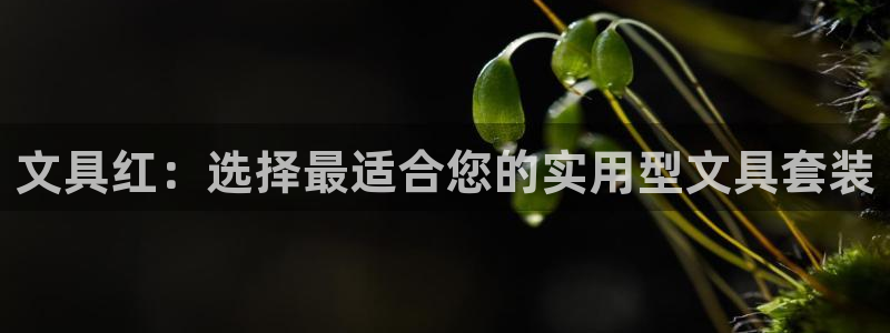 天顺娱乐栈72182：文具红：选择最适合