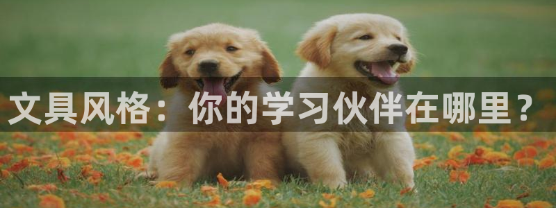 天顺娱乐于67五壹叁八：文具风格：你的学