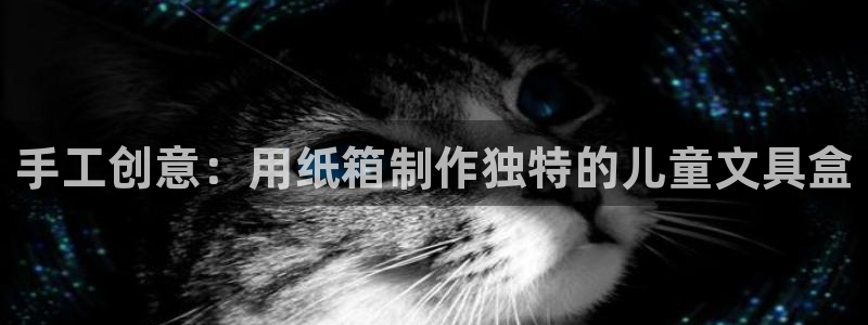 天顺娱乐气洁pg22650：手工创意：用