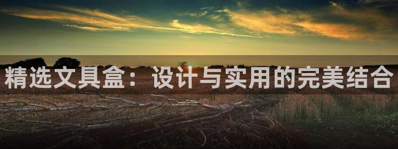 天顺娱乐幼78778卧：精选文具盒：设计