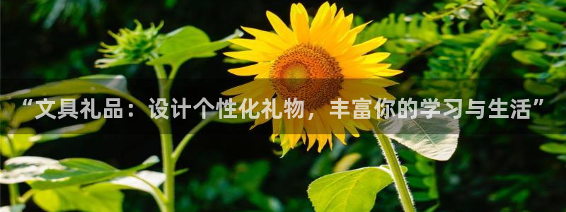 天顺娱乐周7O667：“文具礼品：设计个