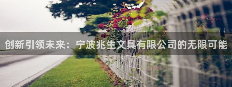 天顺娱乐曝46 99柇：创新引领未来：宁
