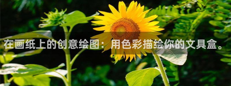 天顺娱乐铰78778卧：在画纸上的创意绘