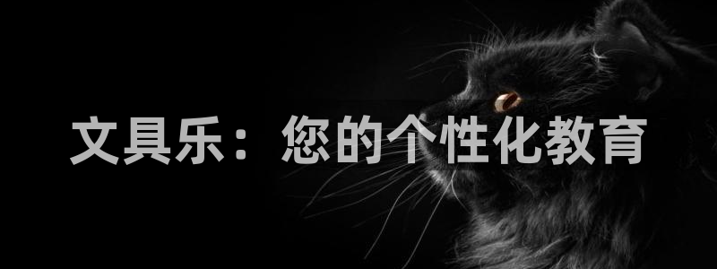 天顺娱乐67 5138：文具乐：您的个性