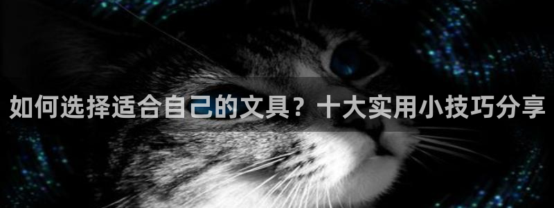 瑞丽市天顺娱乐会所法人：如何选择适合自己