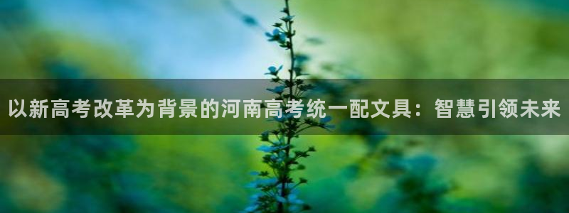 天顺娱乐棋牌：以新高考改革为背景的河南高