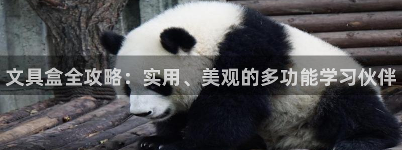 天顺娱乐几78778卧：文具盒全攻略：实