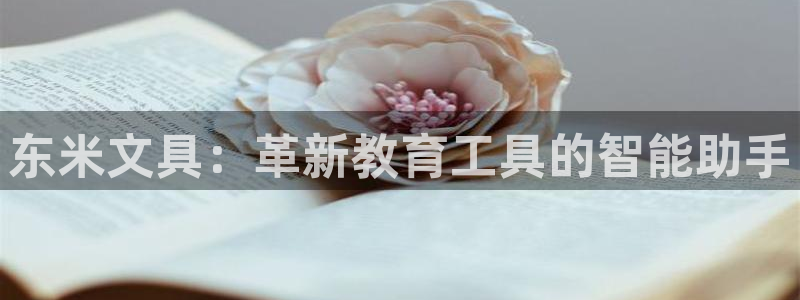 天顺娱乐T条29999：东米文具：革新教