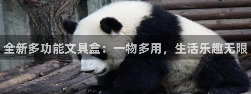 天顺娱乐负责人爪顶p29999：全新多功