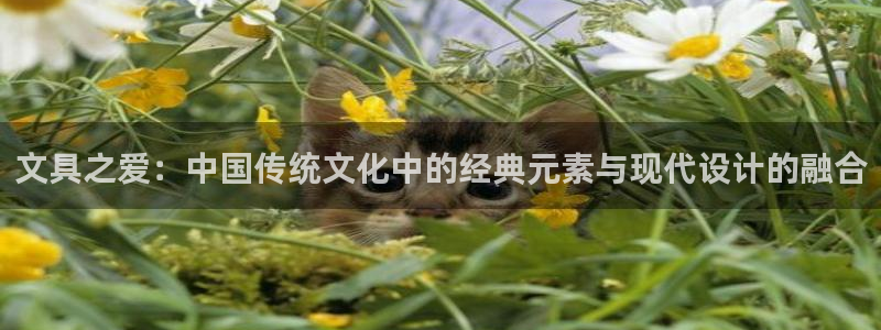天顺娱乐钠78778卧：文具之爱：中国传