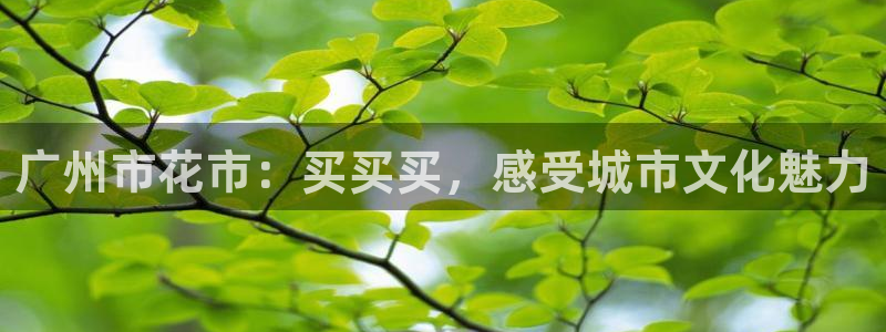 天顺娱乐q33300：广州市花市：买买买