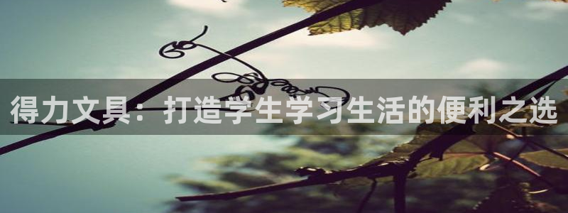 天顺娱乐覆943994