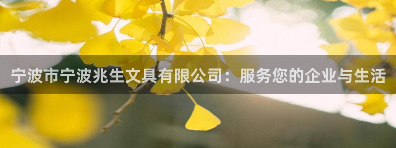 天顺娱乐羌333oo：宁波市宁波兆生文具