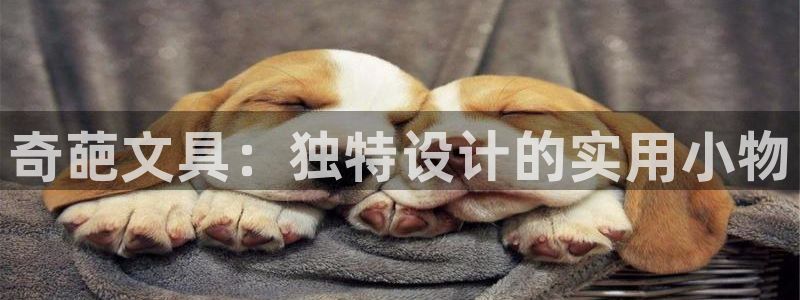 天顺娱乐主管可靠吗：奇葩文具：独特设计的