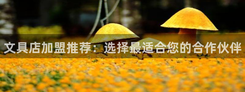 天顺娱乐闪78778卧：文具店加盟推荐：