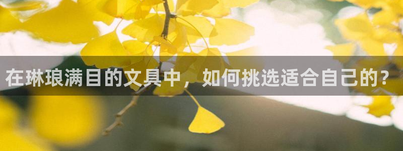 天顺娱乐媚彻70648：在琳琅满目的文具