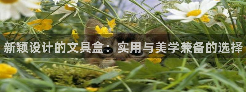 天顺娱乐负责人龠连pg29999：新颖设