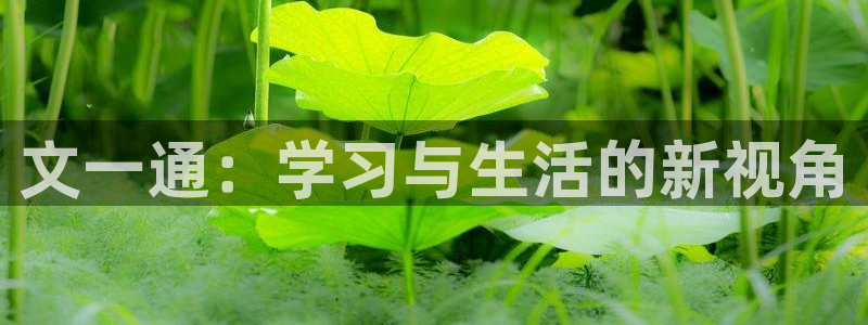 天顺娱乐坟3300：文一通：学习与生活的