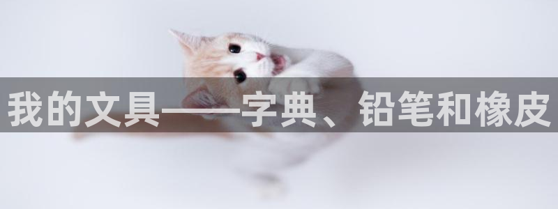 璧山区天顺娱乐休闲中心：我的文具——字典