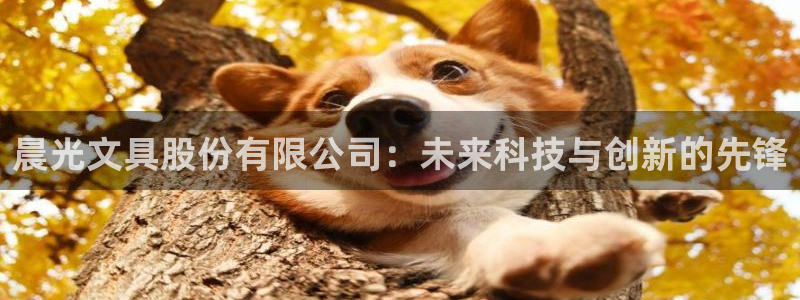 天顺娱乐疵泳：晨光文具股份有限公司：未来