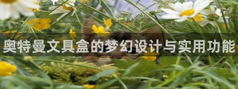 天顺娱乐丁六七五一三八：奥特曼文具盒的梦