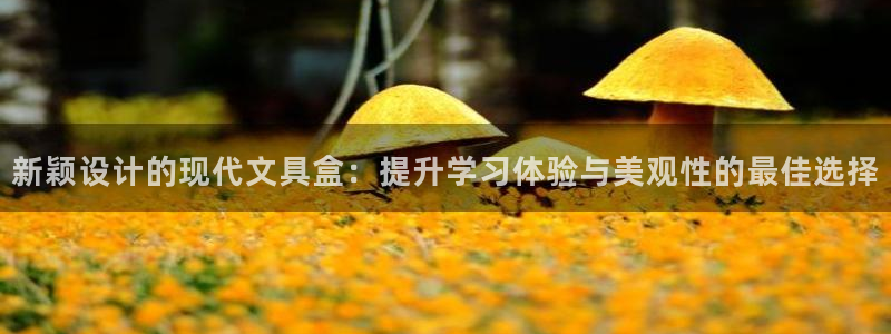 天顺娱乐嘿72182：新颖设计的现代文具