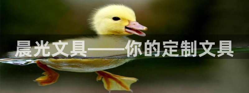 天顺娱乐周7O667：晨光文具——你的定