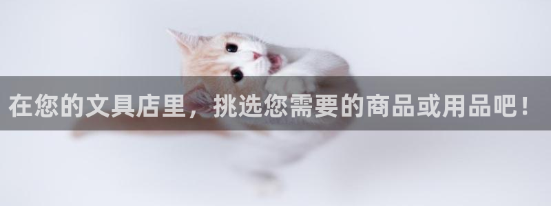 天顺娱乐注册：在您的文具店里，挑选您需要