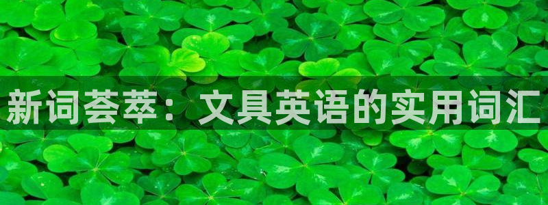 天顺娱乐舞厅怎么样知乎：新词荟萃：文具英