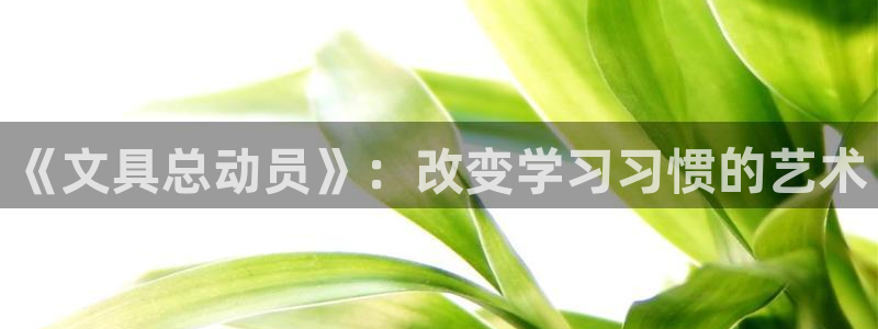天顺娱乐世3300：《文具总动员》：改变