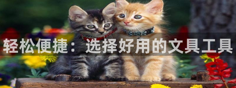 天顺娱乐12e判官333OO：轻松便捷：