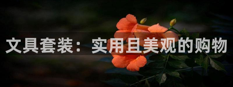 天顺娱乐蘸78778卧：文具套装：实用且